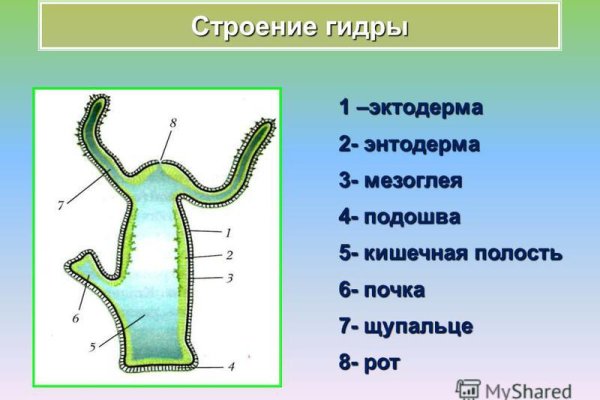 Как выглядит закладка наркотиков